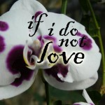 if i do not love_thumb